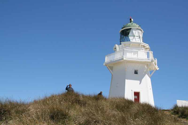 Nieuw-Zeeland 2011 - 1767